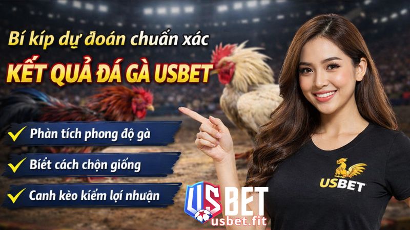 Mẹo chơi đá gà USBET hiệu quả nhất