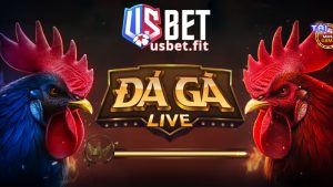 Đá gà USBET điểm giải trí lý tưởng